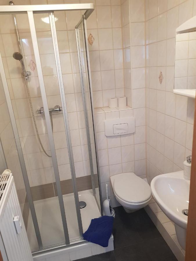 Pension "Zur Katze" Gelenau Exterior foto